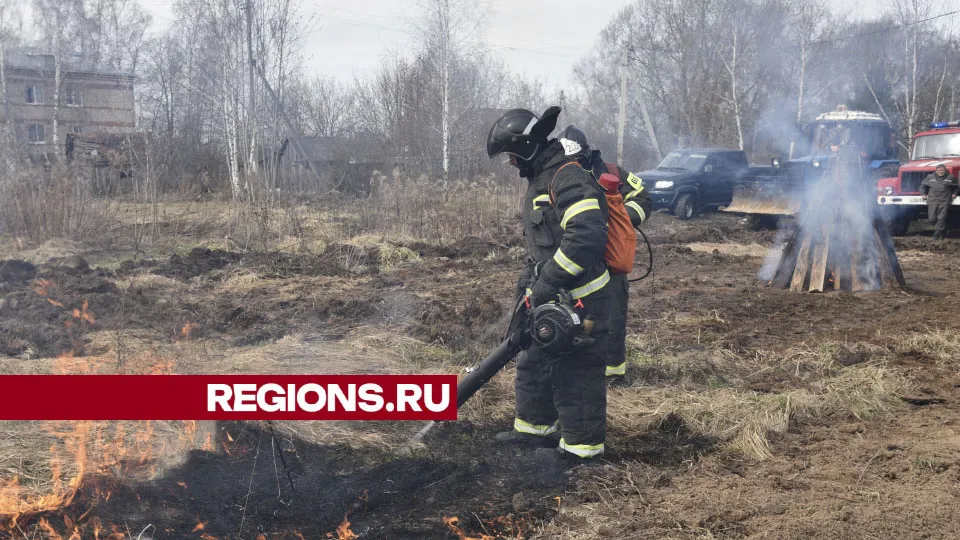 Фото: Владимир Останин