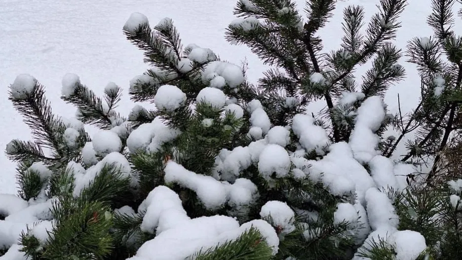 REGIONS/Катерина Антохина