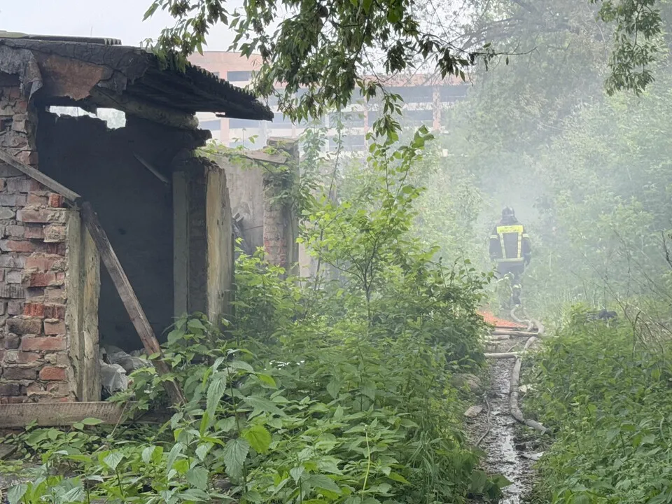 Фото: Виктория Фортуна