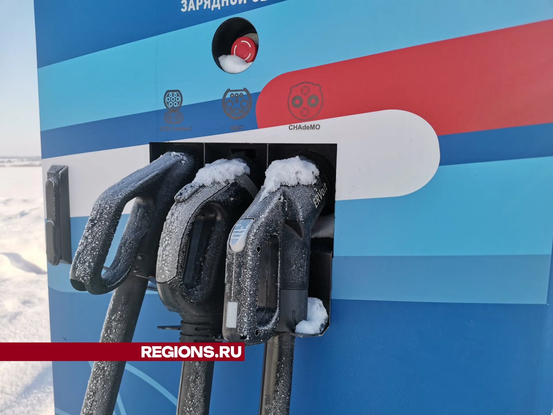 Дарья Кургузова