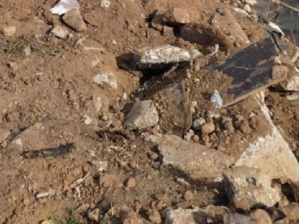 Фото: Минэкологии МО