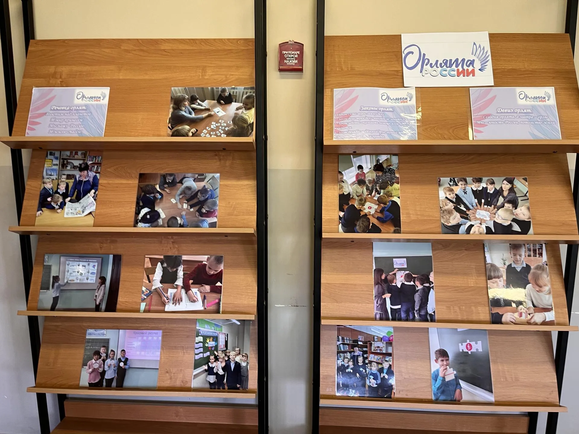 Фото: Татьяна Рунова