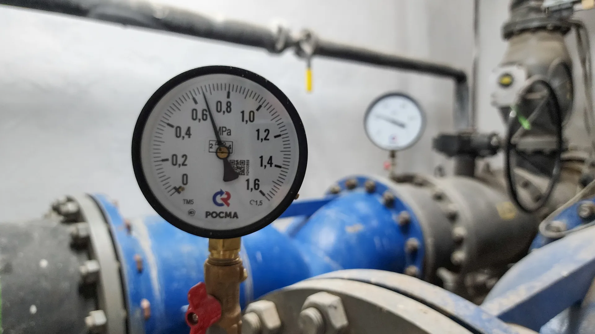 Фото: МедиаБанк Подмосковья/Андрюхина Мария