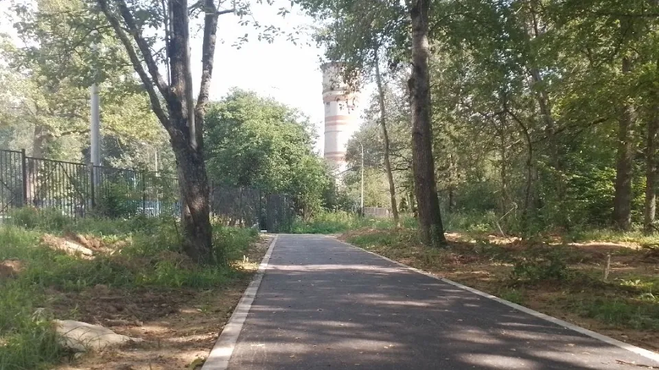 Фото: МедиаБанк Подмосковья/Анастасия Новак