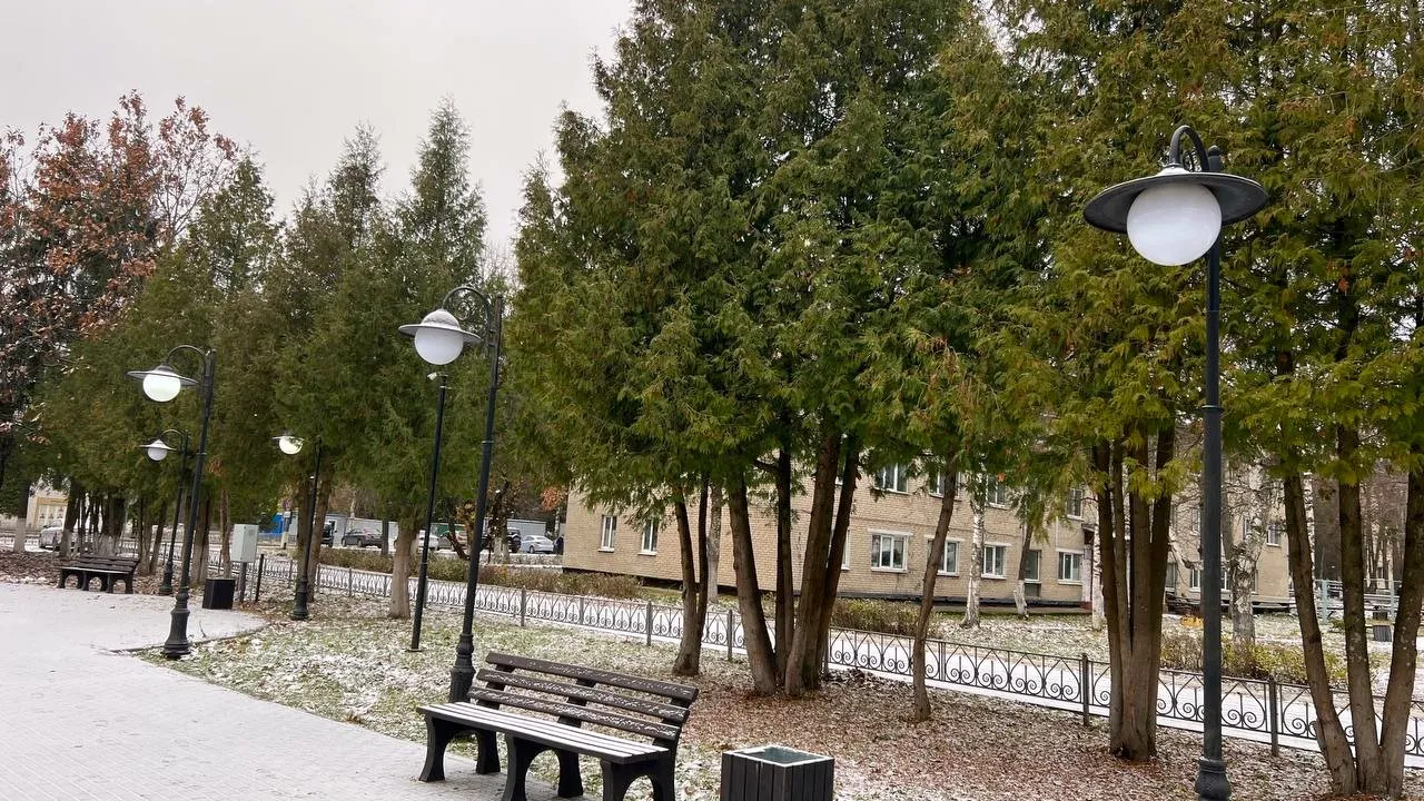 Фото: медиасток.рф