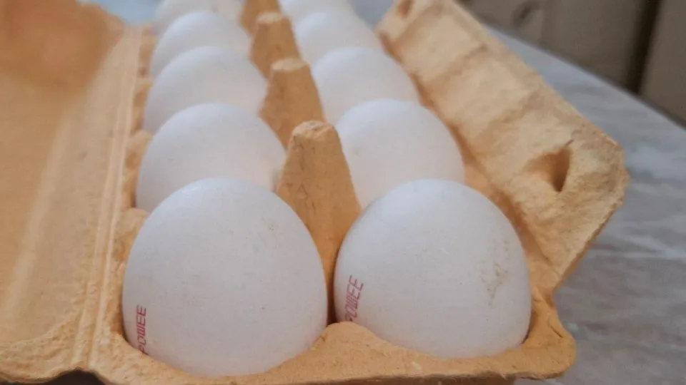 Фото: REGIONS/Юлия Габбасова