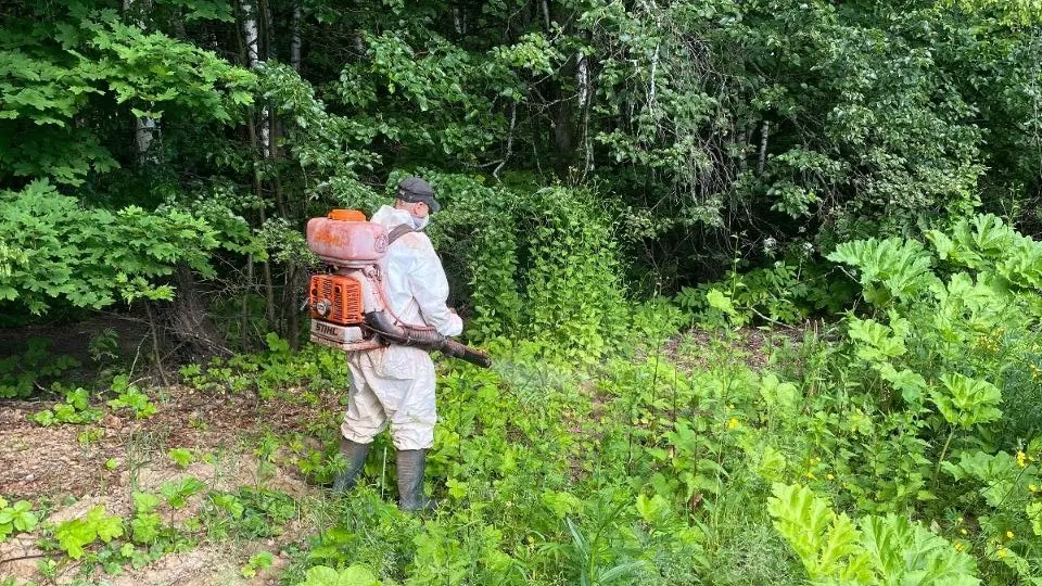 Фото: пресс-служба администрации г.о. Кашира