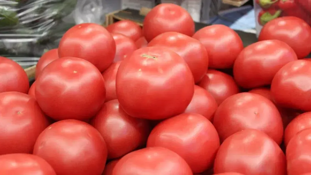 REGIONS/Анастасия Широкая