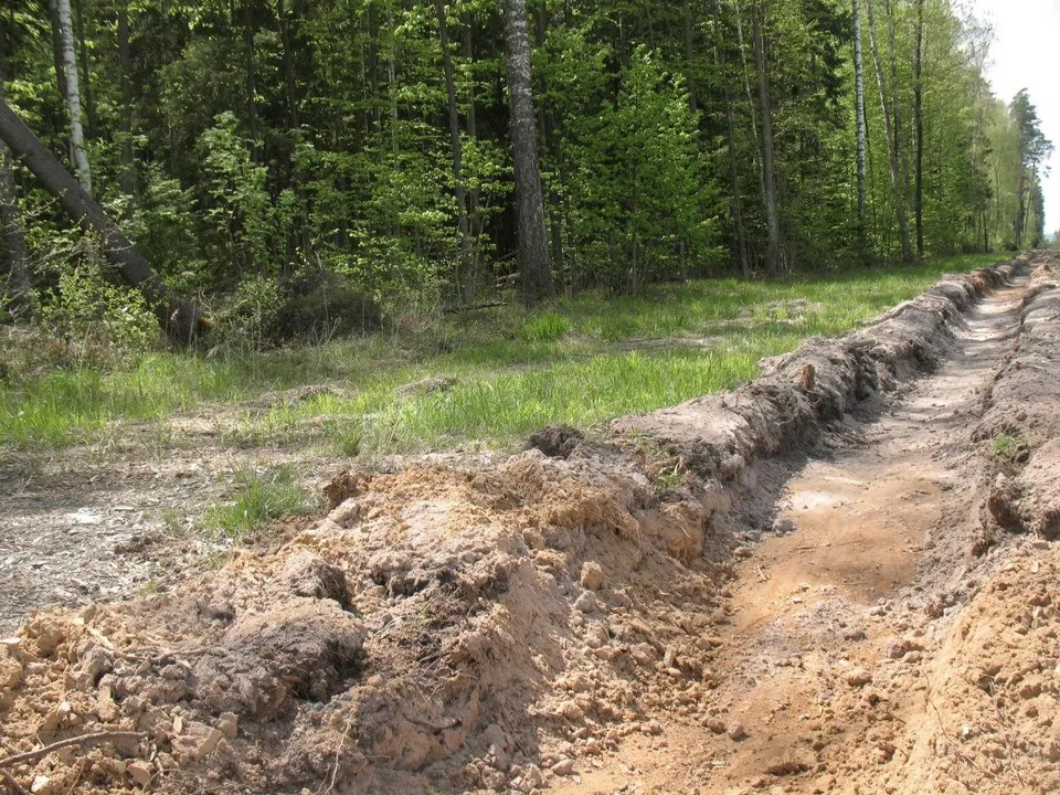 Фото: Комлесхоз Московской области