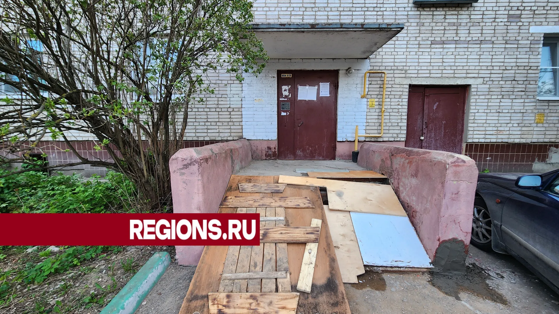 Фото: Светлана Борщева