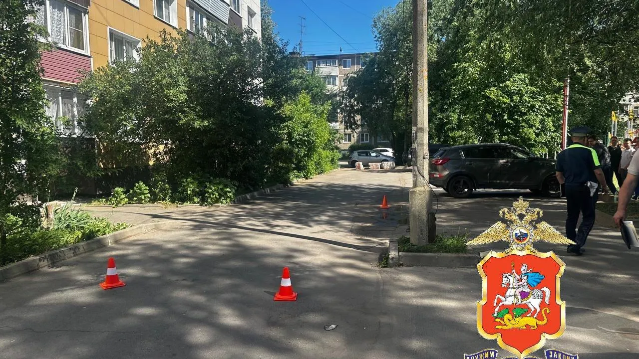 пресс-служба ГУ МВД по Московской области