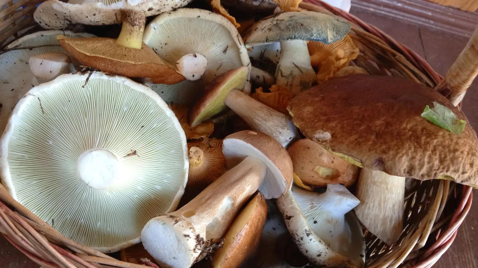 Фото из личного архива Ивана Базанова