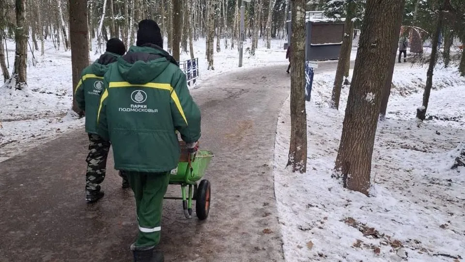 Фото: администрация Одинцовского городского округа