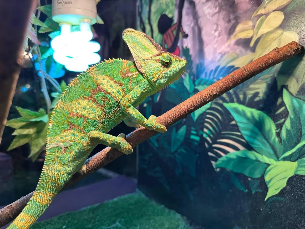 Фото: Ксения Казакова