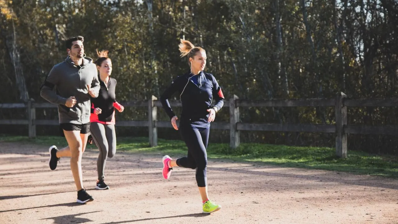 медиасток.рф