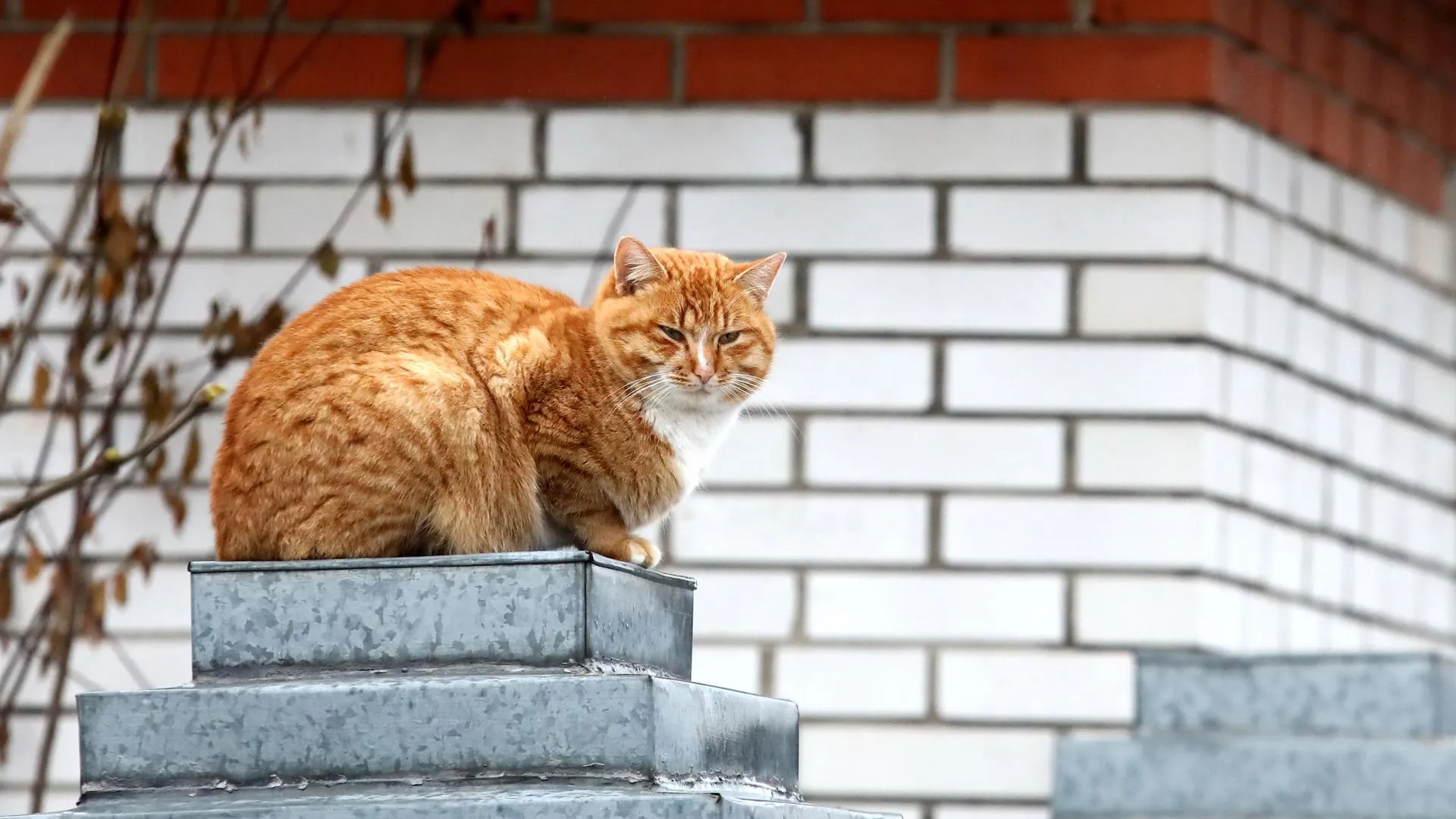 Volodymyr Tarasov/Keystone Press Agency