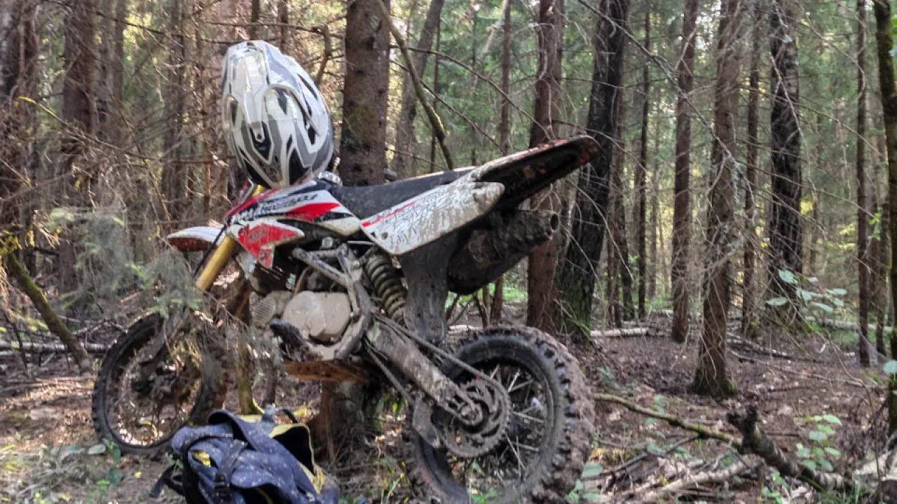 REGIONS/Владимир Ерастов