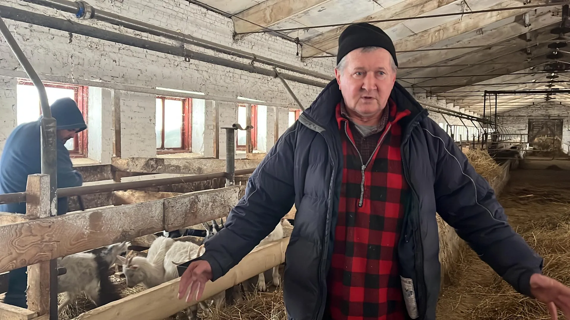 Наталья Котова