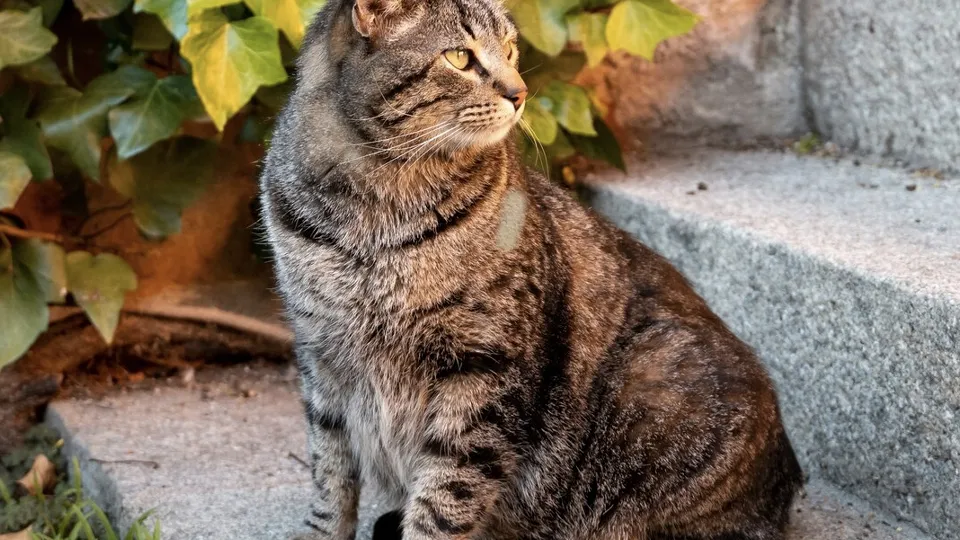 Фото: freepik.com