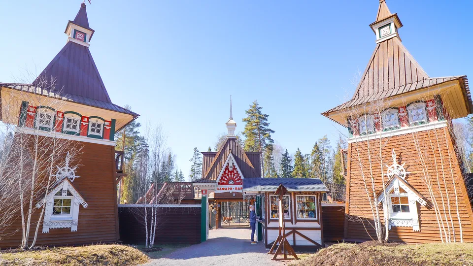 Фото: МедиаБанк Подмосковья/Данила Кирьянов