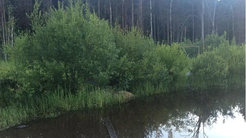Министерство экологии и природопользования МО