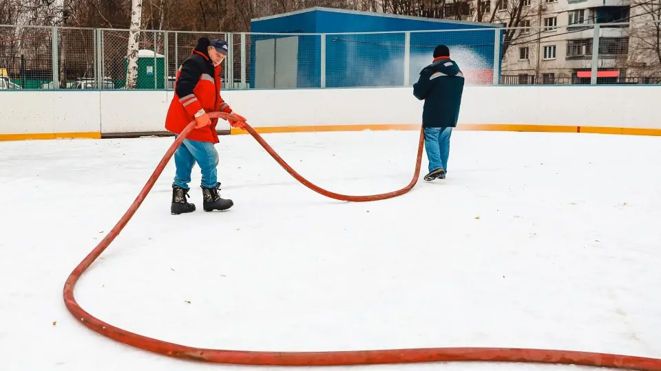 Фото: пресс-служба администрации г.о. Химки
