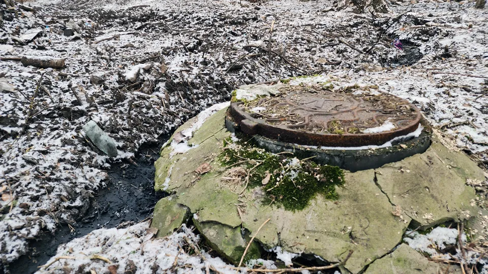 Фото: МедиаБанк Подмосковья/ Ольга Сычева