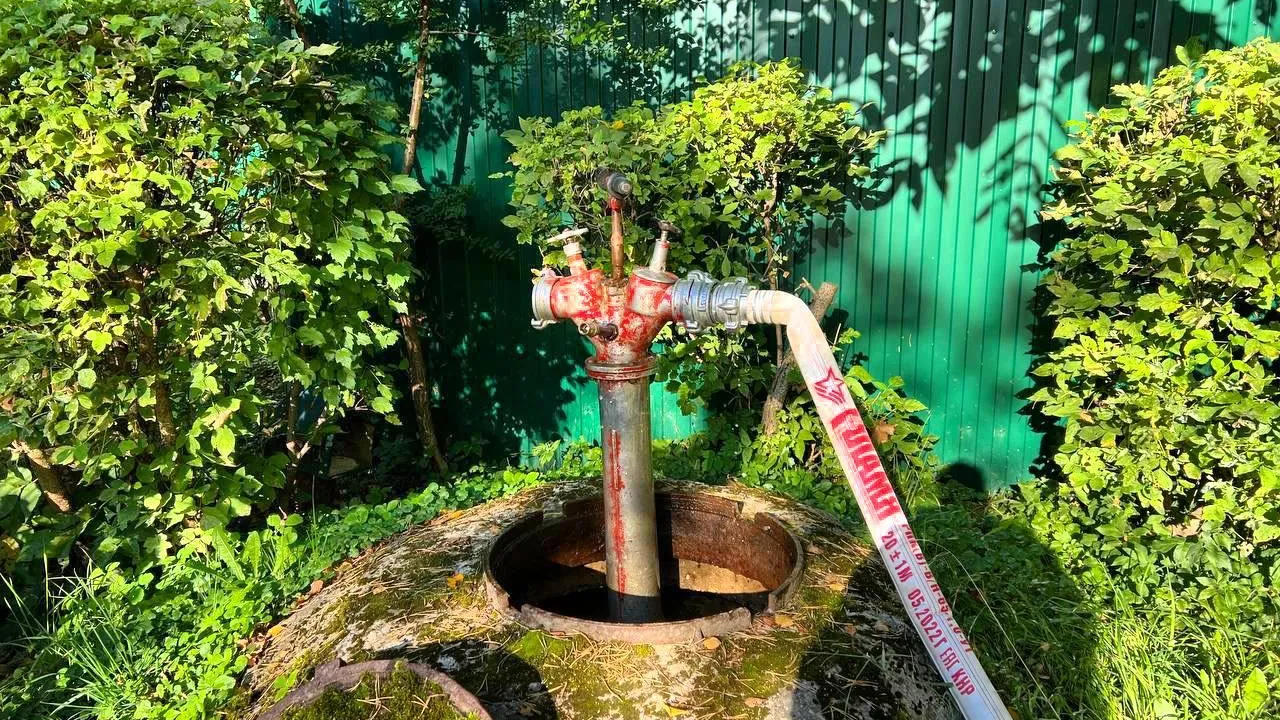 Фото: пресс-служба администрации г.о. Королев