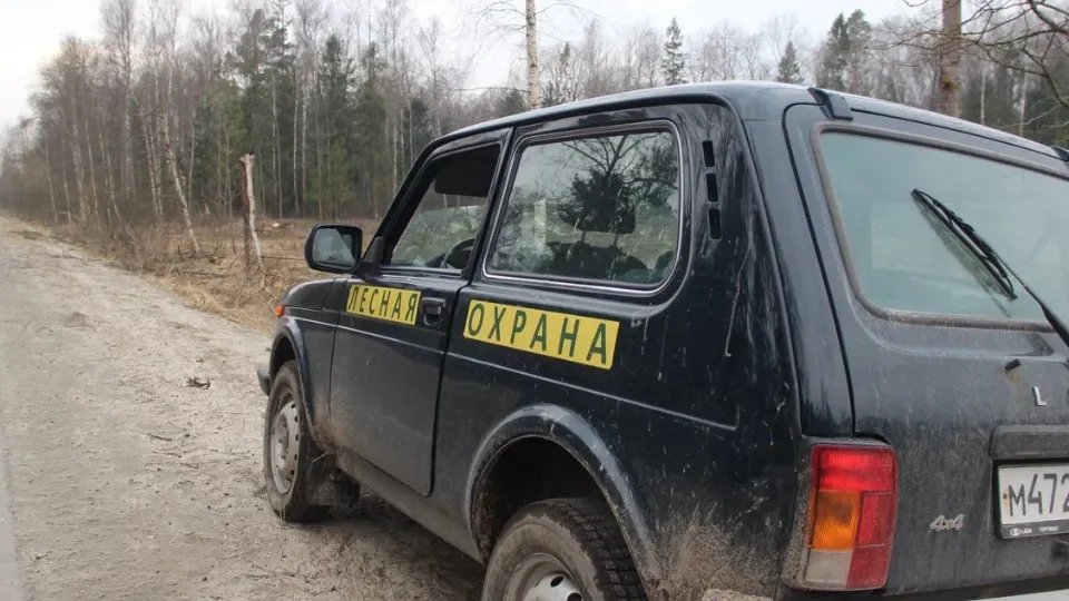 Леса Егорьевска патрулируют ежедневно. Фото: REGIONS/Василий Тремасов