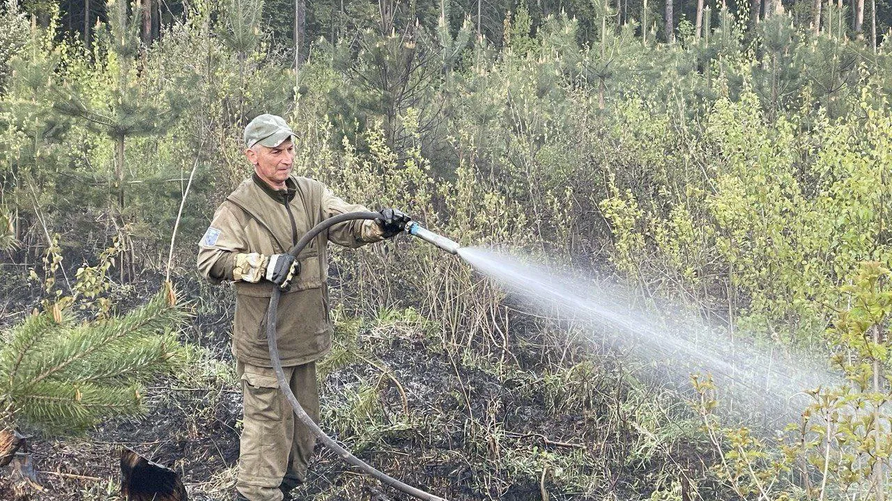 Лесной пожар ликвидировали рядом с селом Братовщина в Пушкинском округе