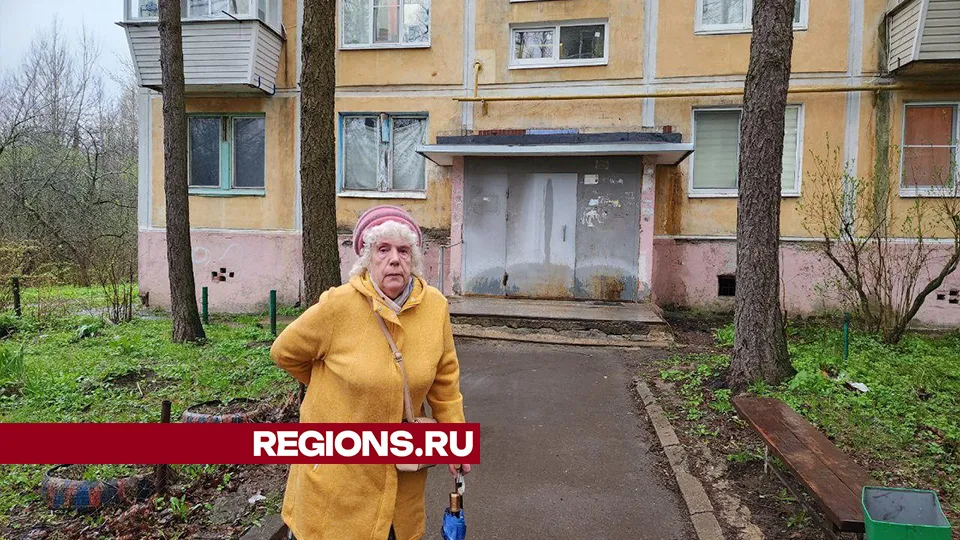 Фото: Елена Лабазина