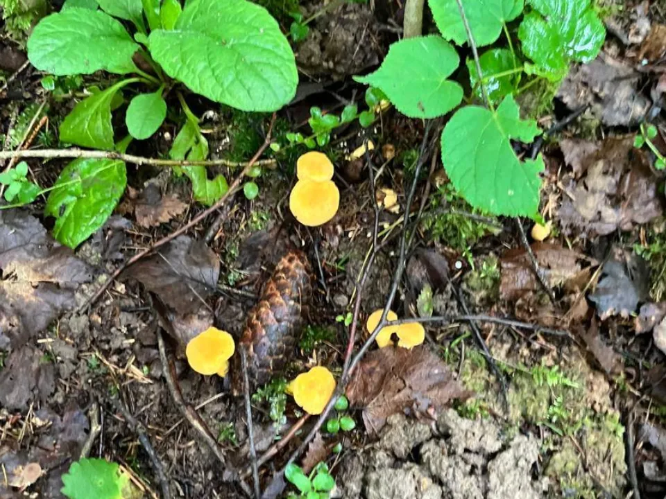 Фото: REGIONS/Екатерина Сарычева