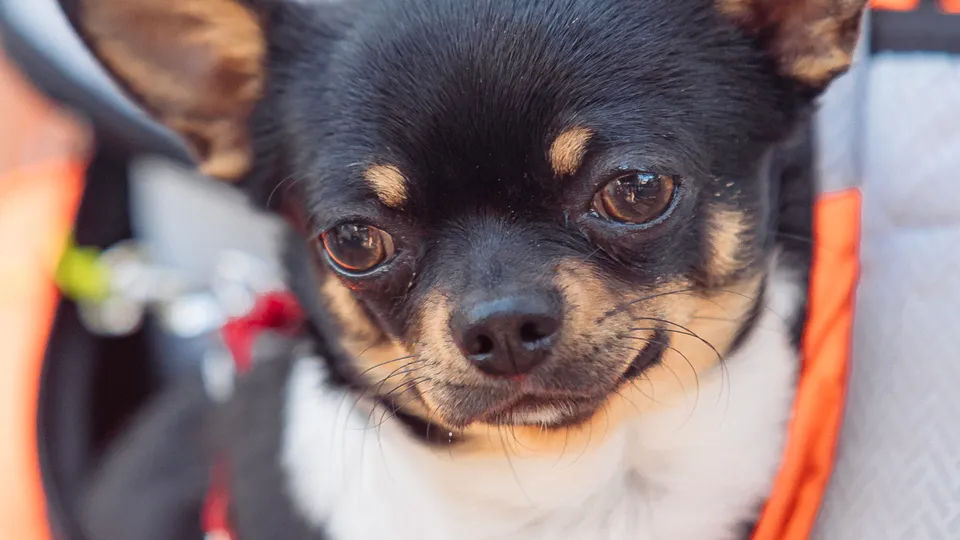 Фото: REGIONS/Наталия Надточая