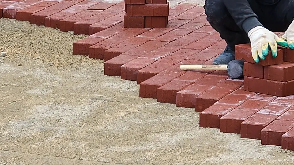 Фото: Елена Шумакова