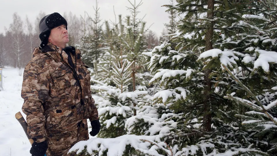 Фото: медиасток.рф