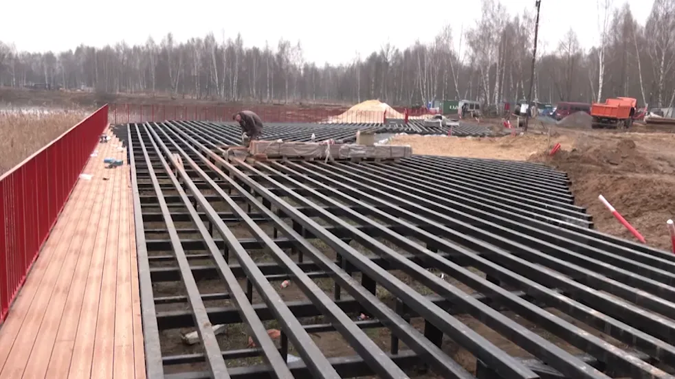 Фото: пресс-служба администрации Пушкинского г.о.