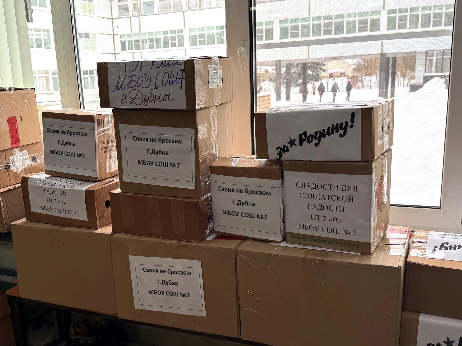 REGIONS/Полина Пахомова