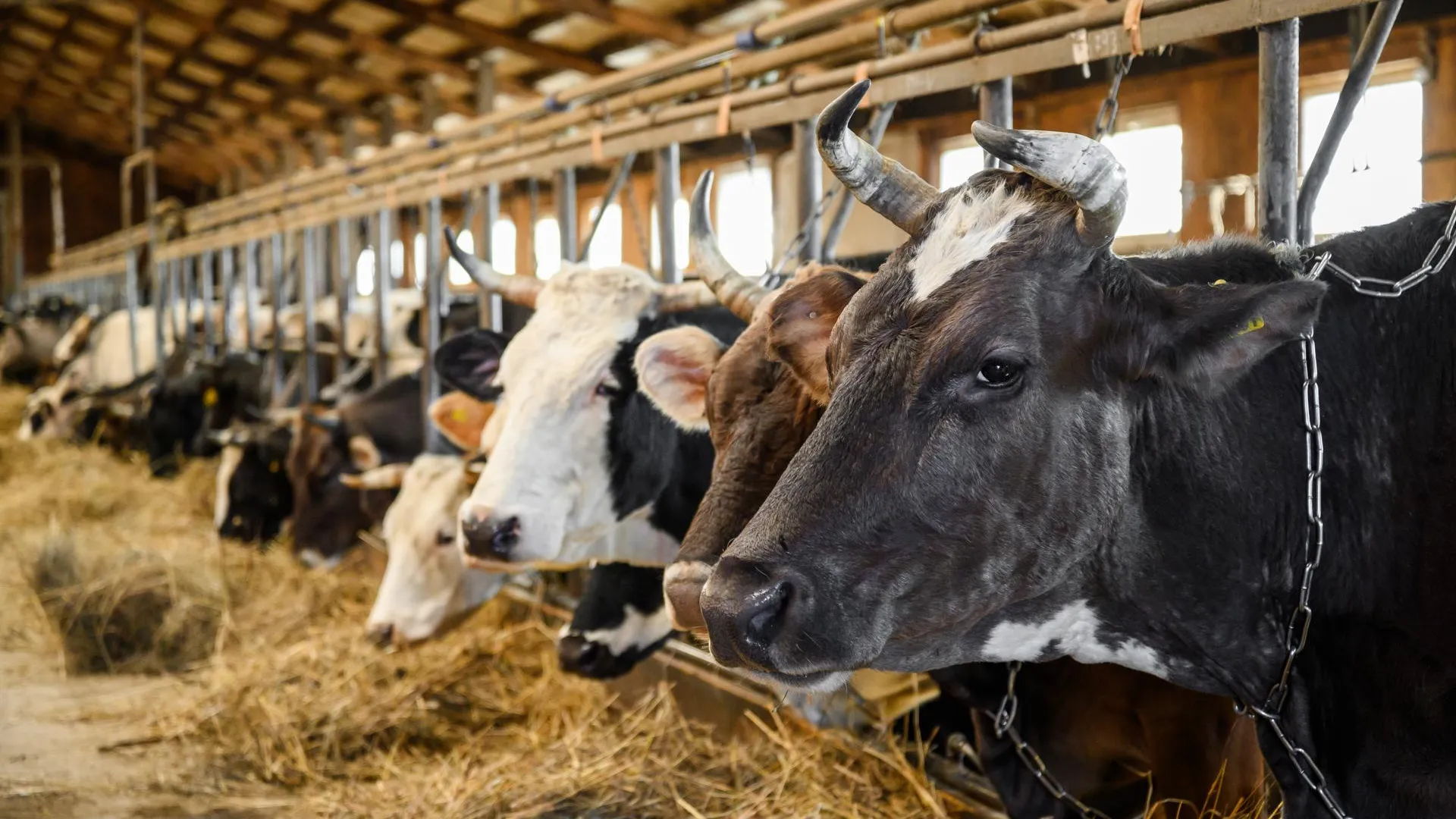 медиасток.рф