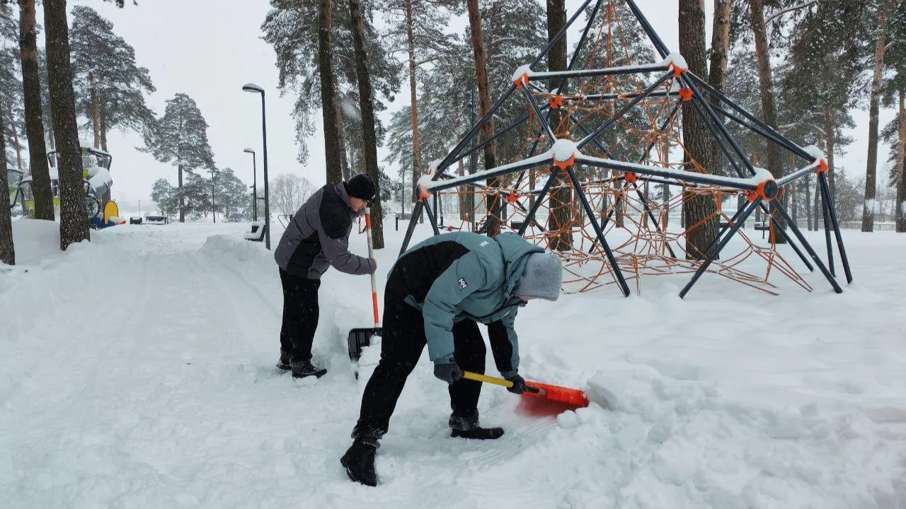Министерство благоустройства Московской области