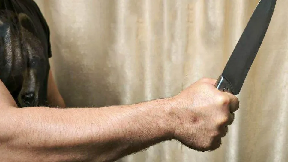 REGIONS/Роман Малышенко