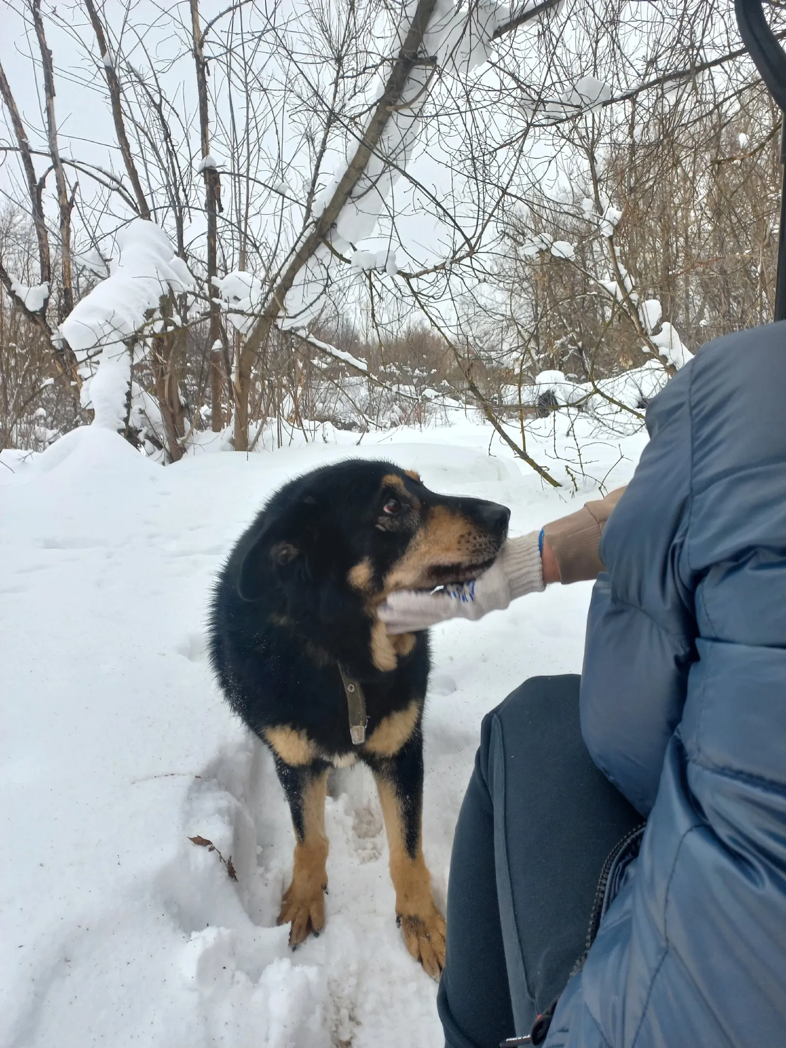 Фото: Светлана Панова&nbsp;