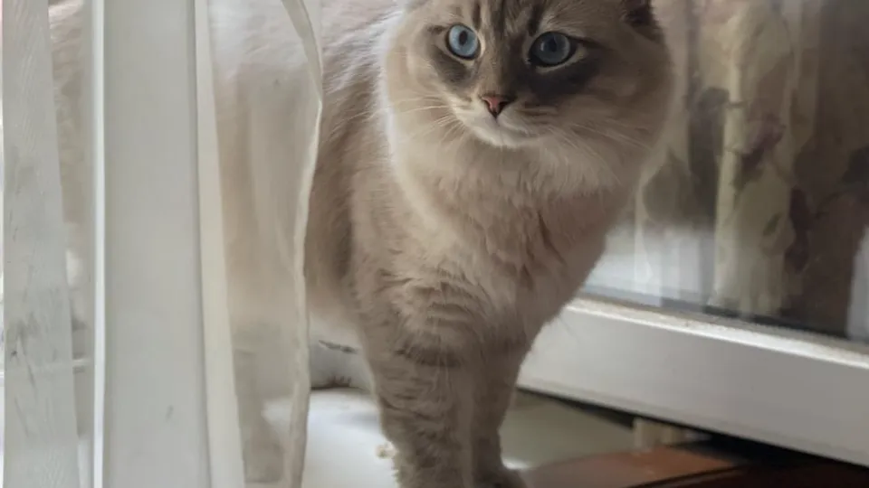 Фото: vk.com/sprudy?from=groups