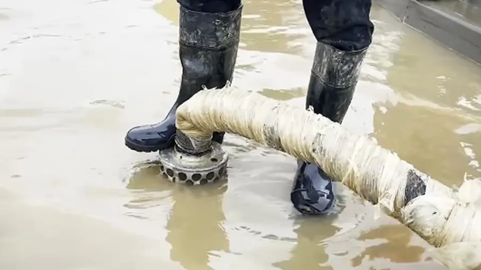 Фото: МедиаБанк Подмосковья/Екатерина Кирдина