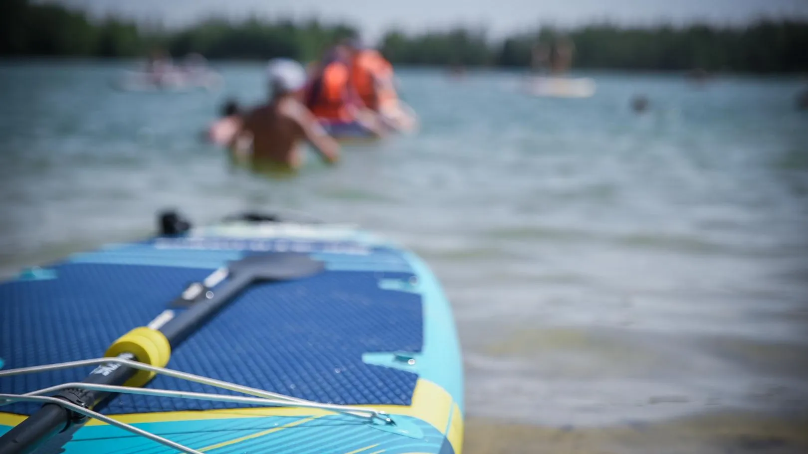 МедиаБанк Подмосковья/Ольга Антонова