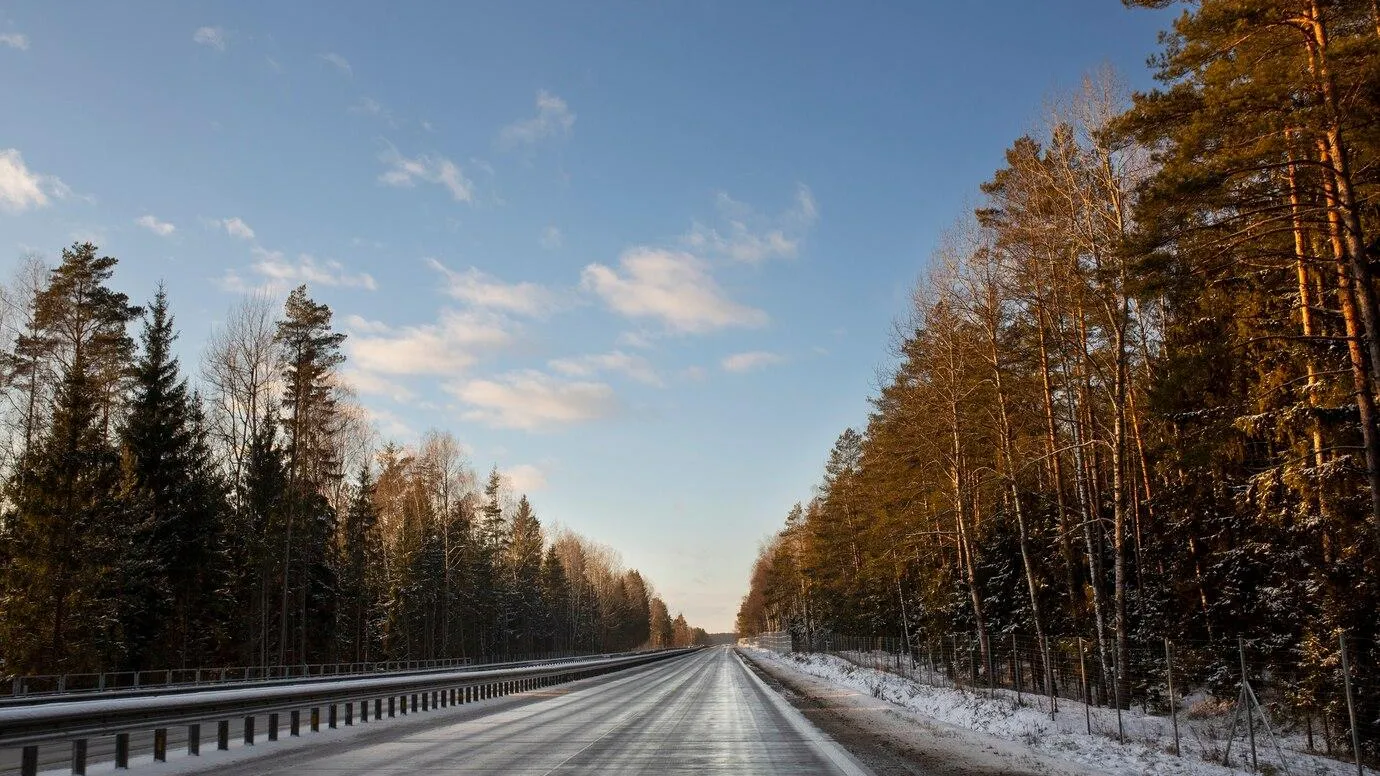 Фото взято с ru.freepik.com