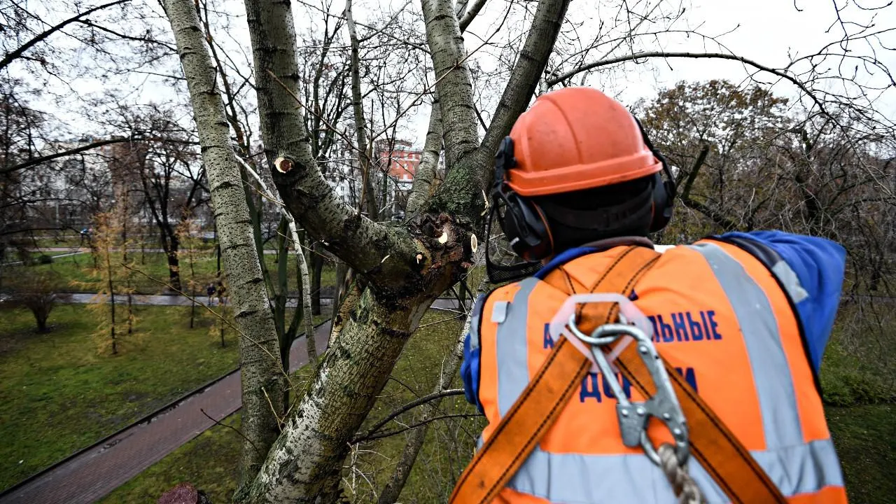 медиасток.рф