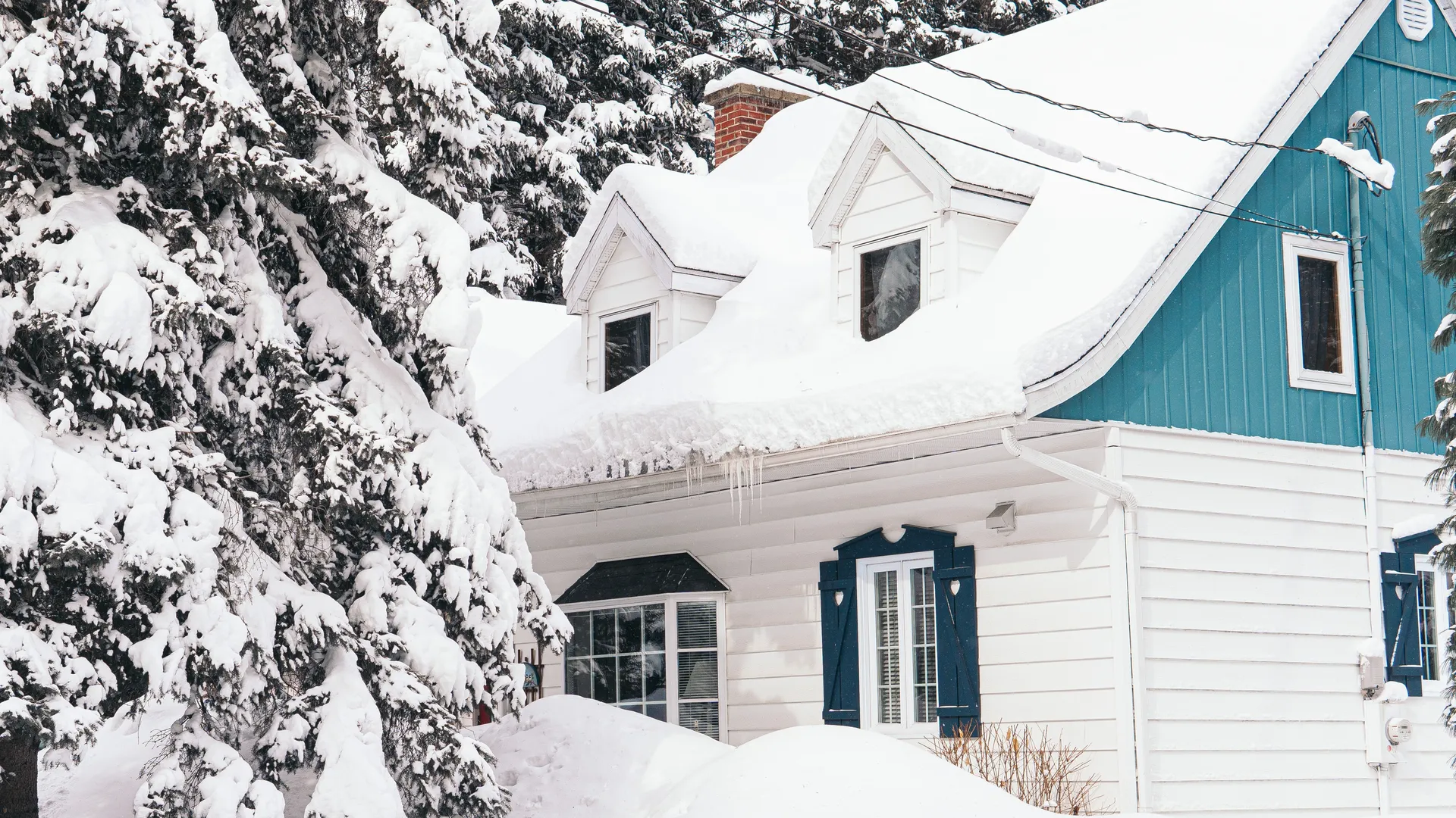 Фото freepik.com