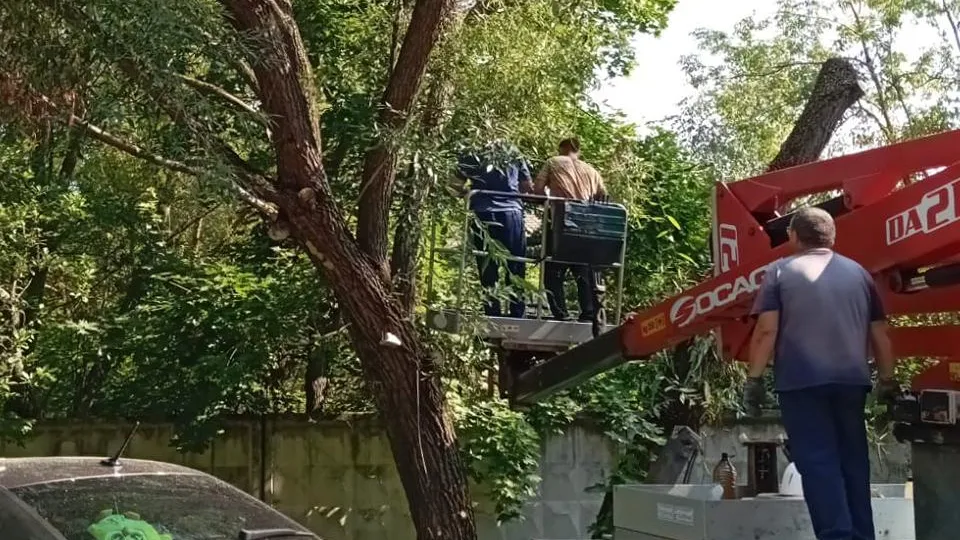 Фото: пресс-служба администрации городского округа Луховицы
