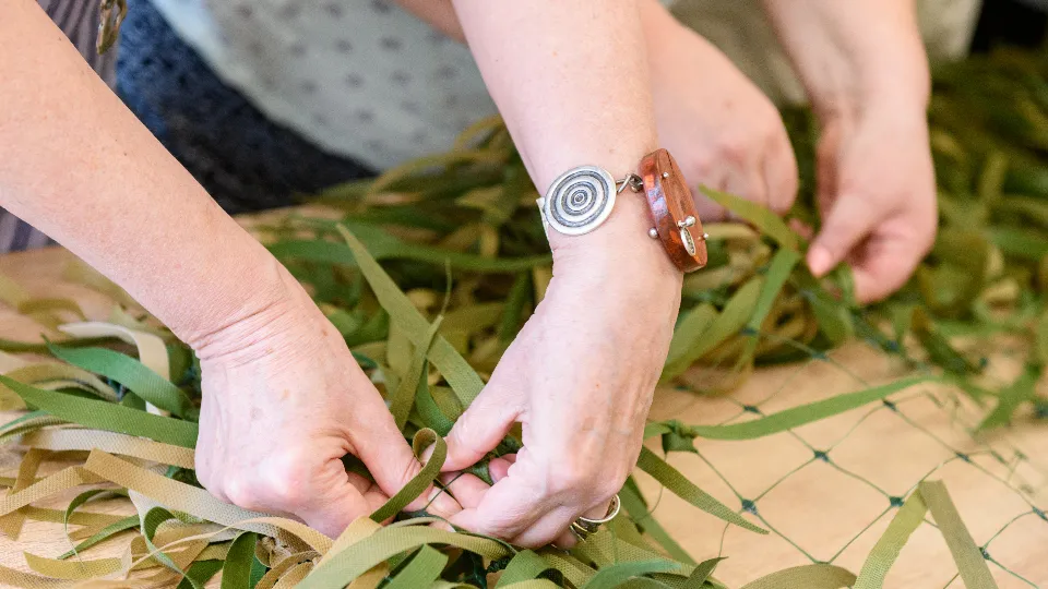 Фото: МедиаБанк Подмосковья/Дарья Попова