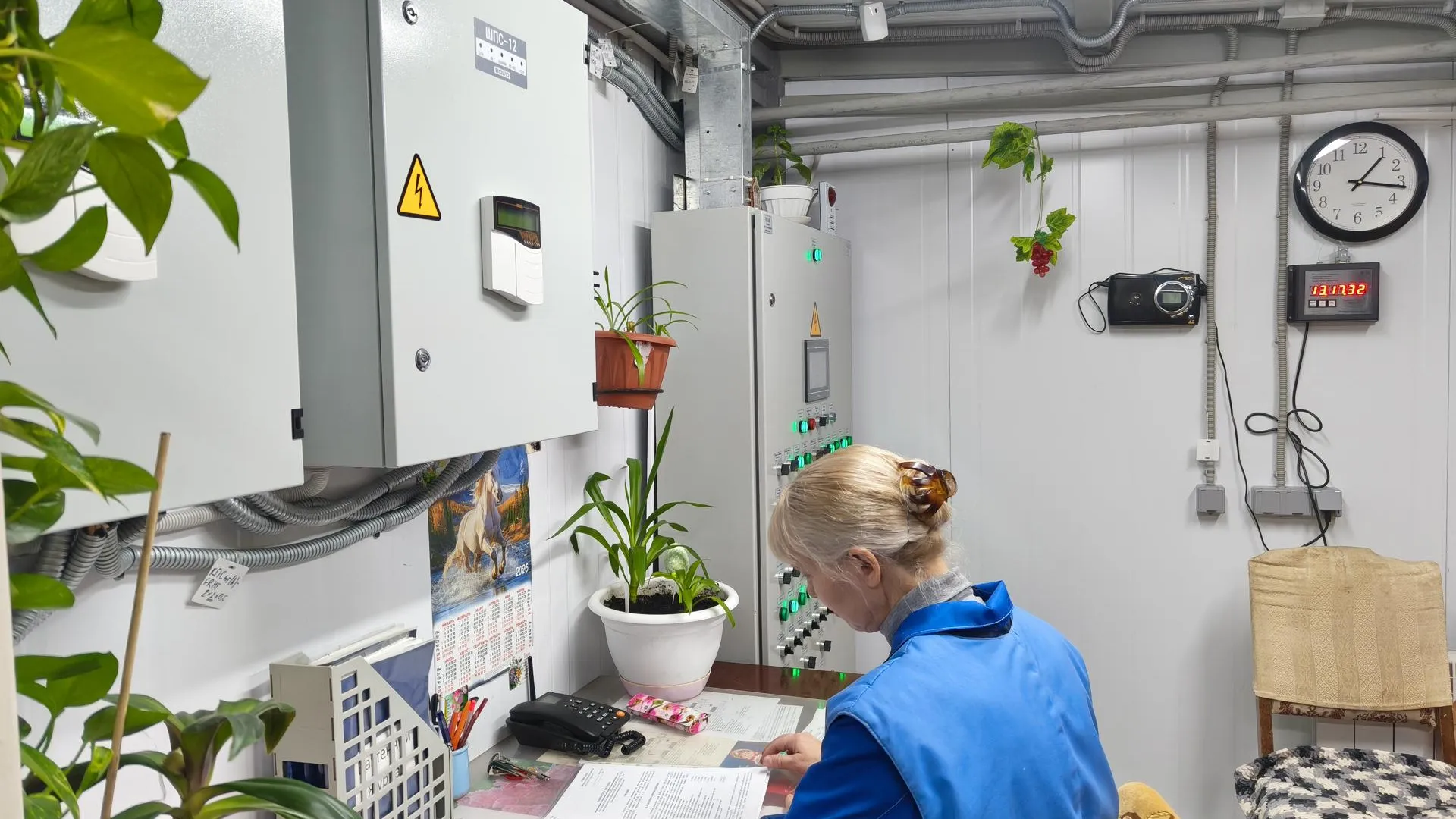 Фото: Сергей Орлов